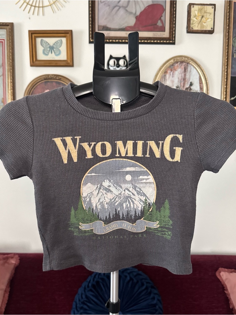 Wyoming Nation Park Graphic Baby Tee - Gray